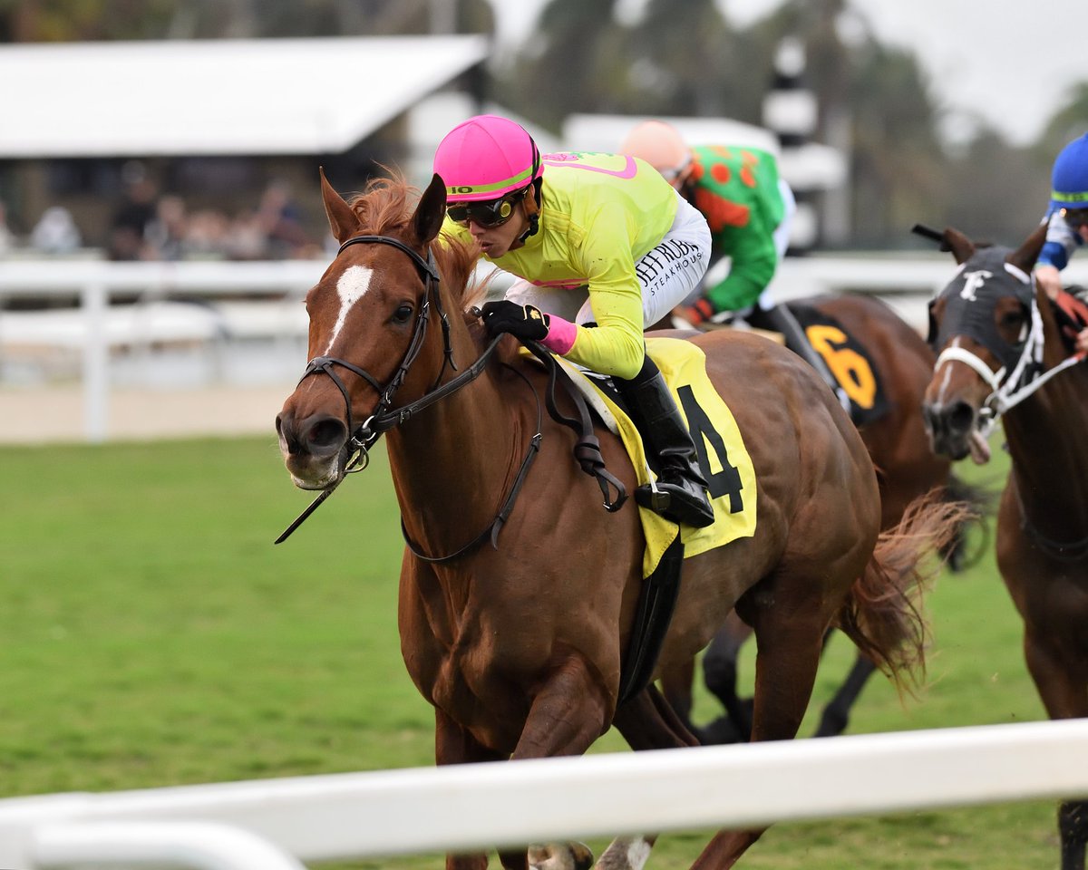 Sweet Dani Girl runs down Baby Steps to take the Sunshine Filly and Mare Turf, ridden by <a href="/iradortiz/">Iradortiz</a>, saddled by <a href="/clementstable/">Clement Racing Stable</a>, and owned by Michael Dubb, Steven Bouchey, New Phoenix Stable and America's Padtimes Stables. #GulfstreamPark #ChampionshipMeet