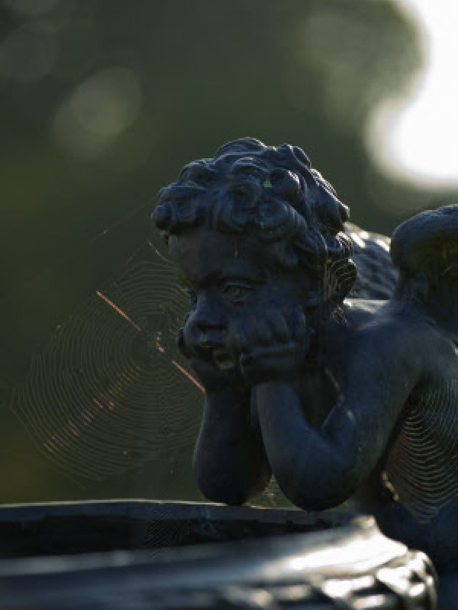 nationaltrust's tweet photo. When you remember it's Monday tomorrow.

Photo: Mark Bolton https://t.co/IOPIcZ97fr