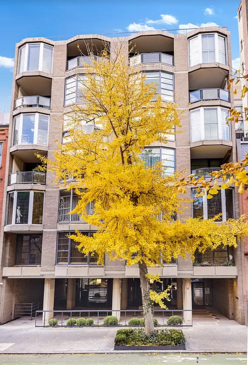 Just unveiled this spacious two-bedroom gem in the vibrant heart of Greenwich Village! 🏡 #NewListing #GreenwichVillageLiving