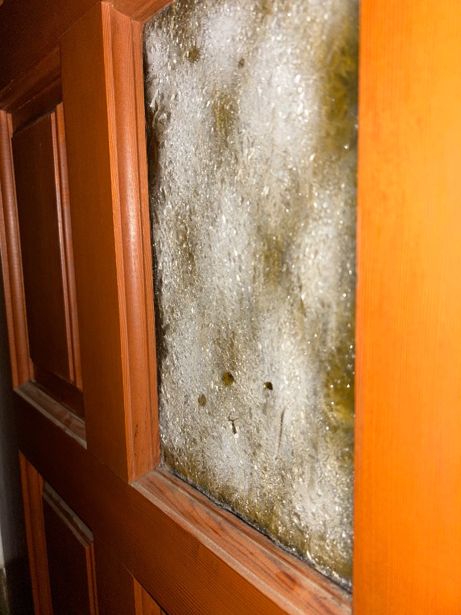 Shawna Dicintio tweet media