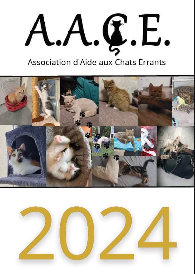 aace_45's tweet photo. Notre calendrier 2024
Vous pouvez le commander directement sur helloasso
Les chats vous remercient 
https://t.co/r2BKYVJDR0 https://t.co/FcT0MRCPfN