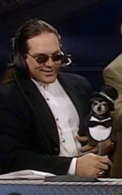 bluebutterflysm's tweet photo. On national dress up your pet day, vote #SteveMcMichael into the @ProFootballHOF !    
#TeamMongo #SteveMcMichaelShouldBeInTheHOF #Mongo2HOF #MongoMcMichael #MongoForever @nfl @espn @NFLonFOX @NFLonCBS @ChicagoBears #Chicago #Bears https://t.co/zklnIOYOmX