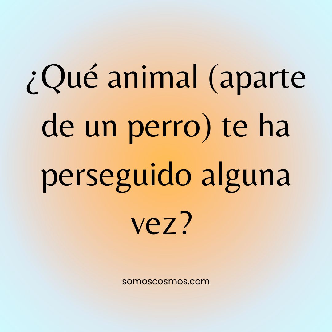 Informa Cosmos tweet media