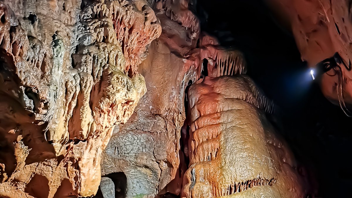 Kents Cavern Prehistoric Caves tweet media