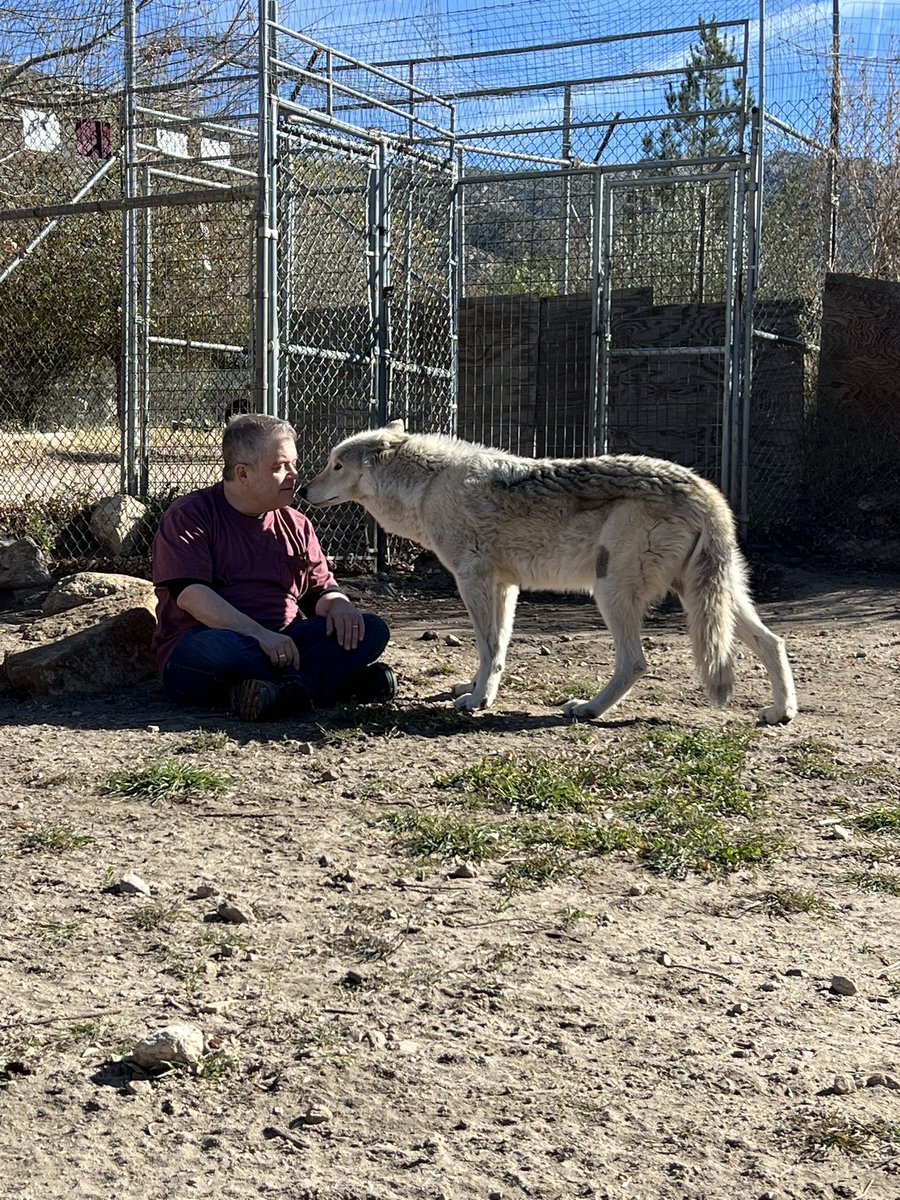 pattonoswalt's tweet photo. Yesterday was transcendent. #wolfconnection https://t.co/UycOj8nTI3