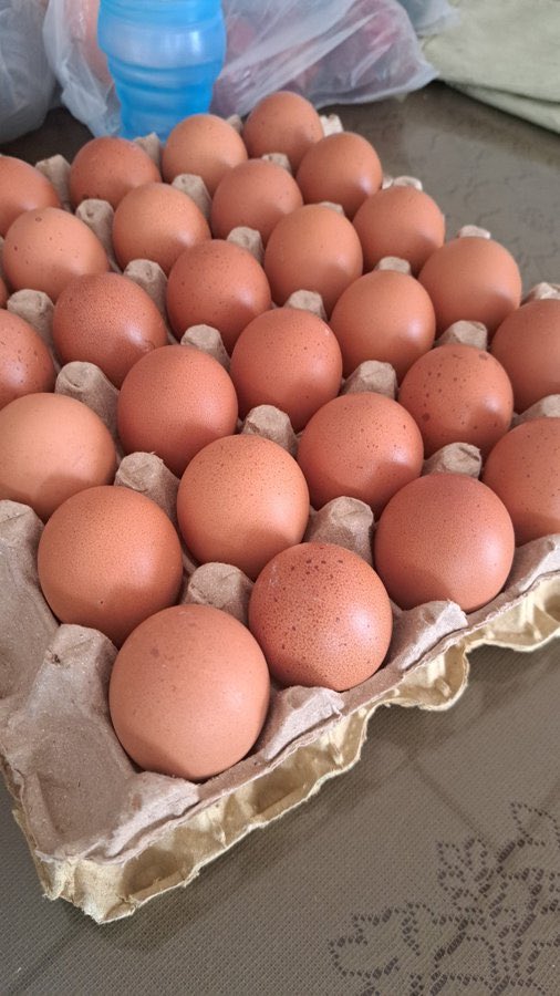 WintorABC's tweet image. #pregunta: ¿A cómo está el cartón de huevos de 30 unidades, en su Municipio? 👇