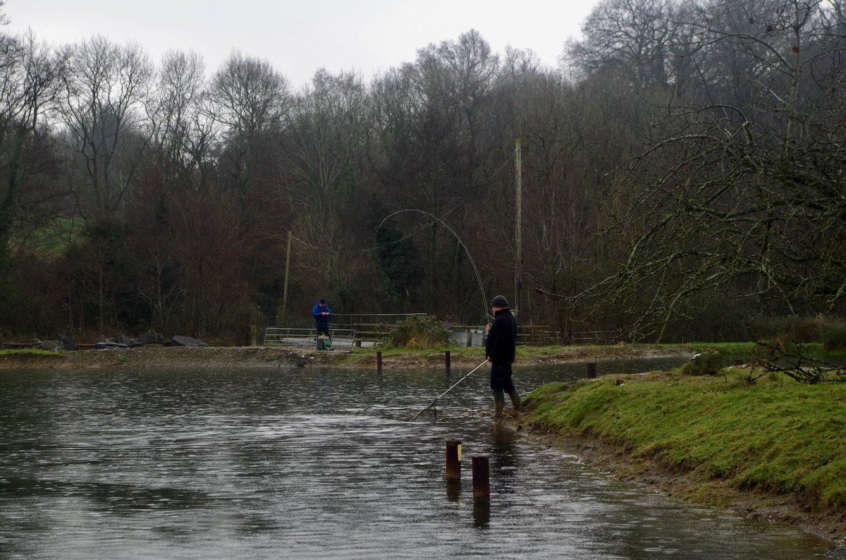NDAnglingnews's tweet image. northdevonanglingnews.co.uk/2024/01/14/lim…
#snowbee #flyfishing #troutfishing #bulldogfishery