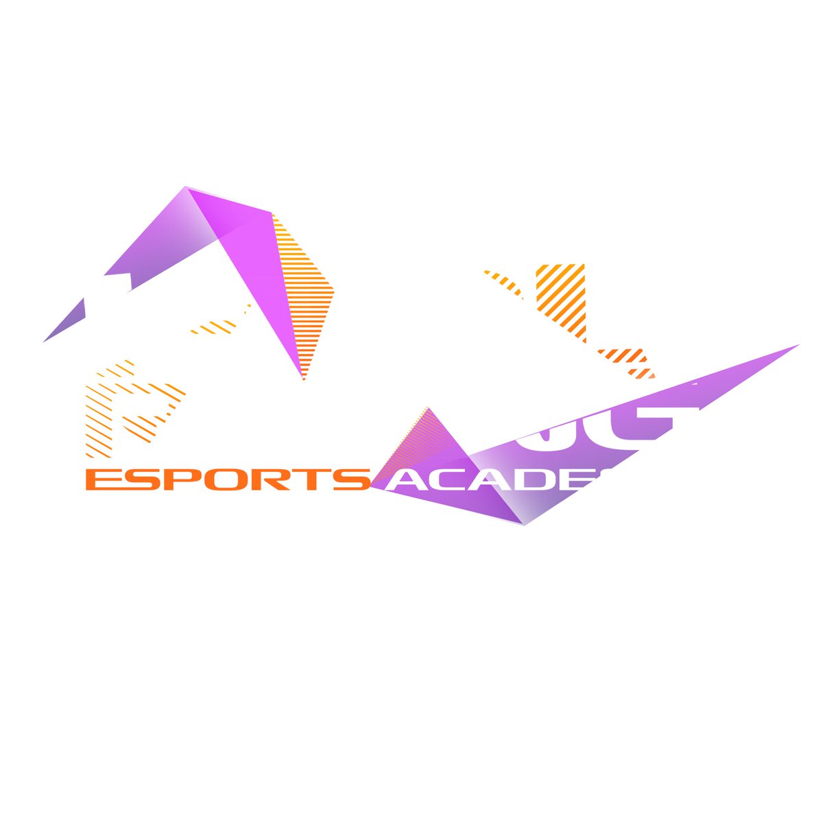 F1_HDL's tweet photo. 🚀🏎️ **Revolutionizing Racing Talent: Introducing HDL Esport Academy! 🌟**

🏁 HDL Racing is thrilled to announce the launch of our Esport Academy🔥 
But hey, this doesn't mean HDL isn't for YOU! We've got leagues catering to all skill levels 
Join us and learn more about HDL https://t.co/0WnxW6VHmh