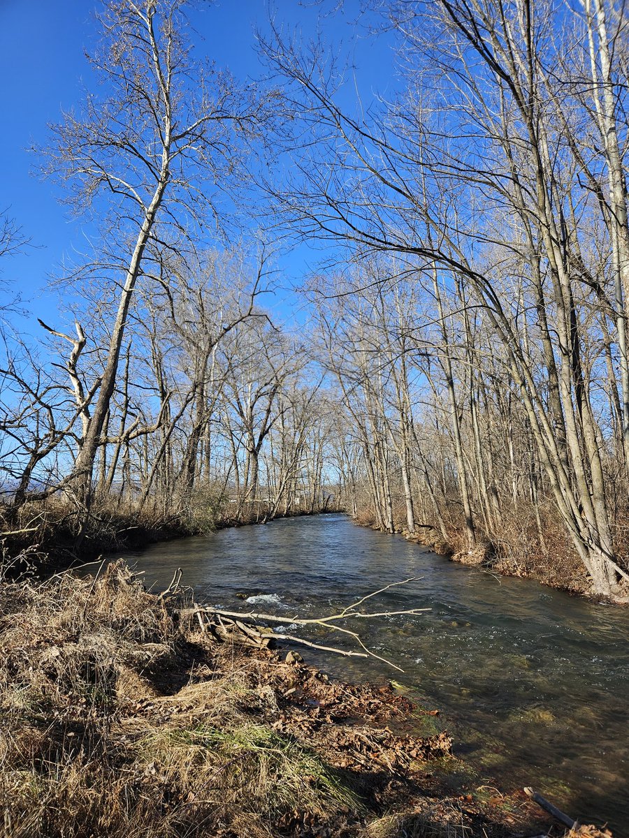 Sean Clifford- The Comeback Coach for Dads tweet media