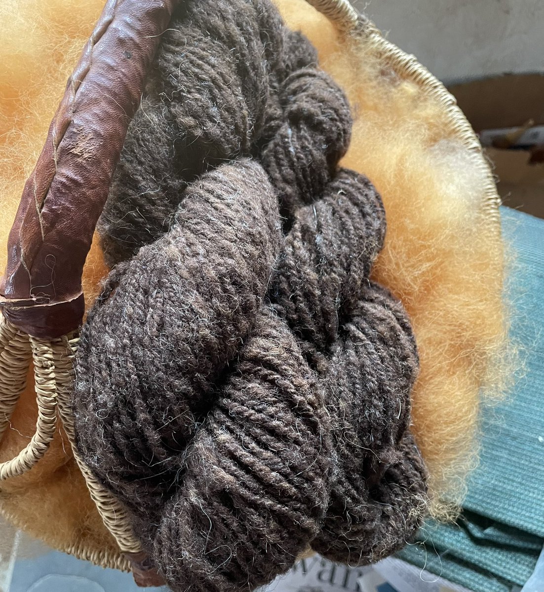 textilefusion's tweet photo. Just finished hand-carding some onion-dyed wool from over 20 yrs ago. The brown handspun skeins and the freshly-carded wool are from one fleece, sheared from a Jacob sheep with four horns (usually), and a coat of two colors.
#JacobSheep #OnionSkinDye #HandCarding #HandSpinning https://t.co/lmuVr2U8ae