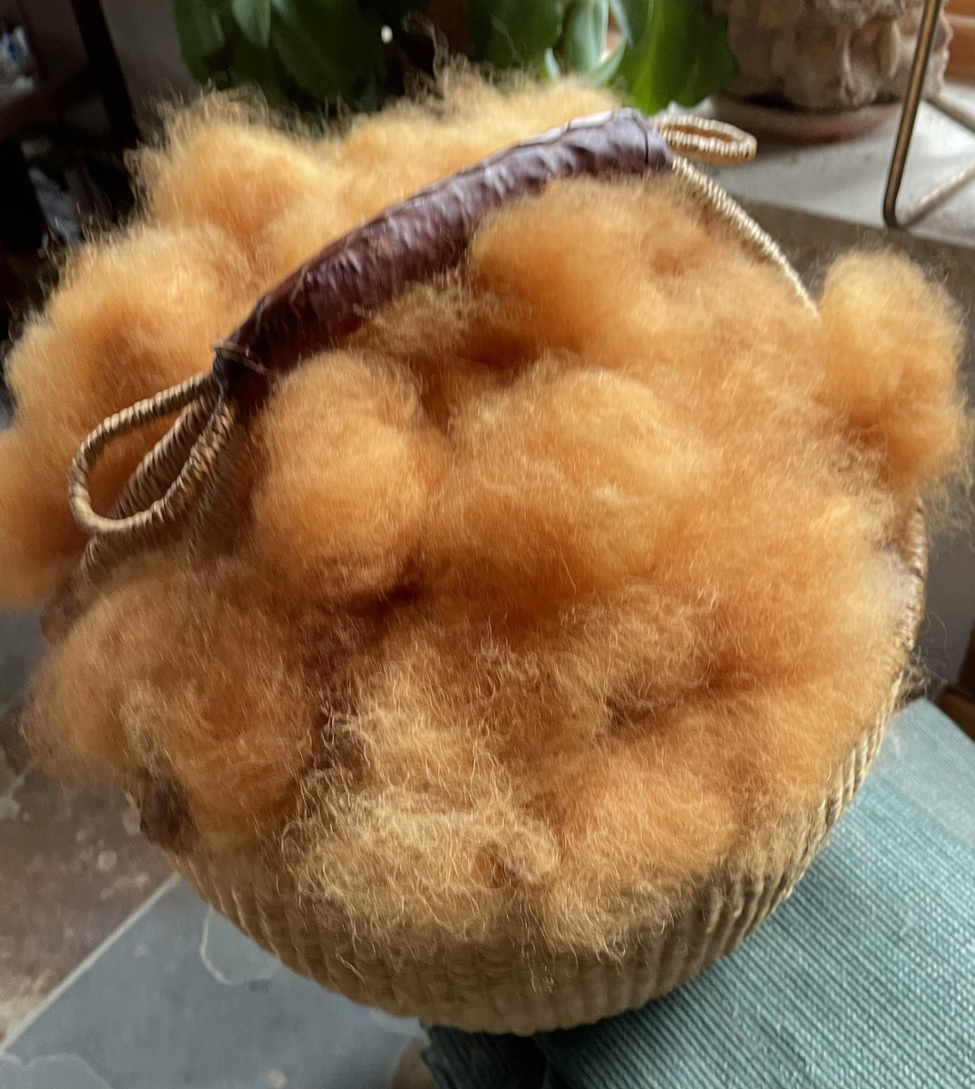 textilefusion's tweet photo. Just finished hand-carding some onion-dyed wool from over 20 yrs ago. The brown handspun skeins and the freshly-carded wool are from one fleece, sheared from a Jacob sheep with four horns (usually), and a coat of two colors.
#JacobSheep #OnionSkinDye #HandCarding #HandSpinning https://t.co/lmuVr2U8ae
