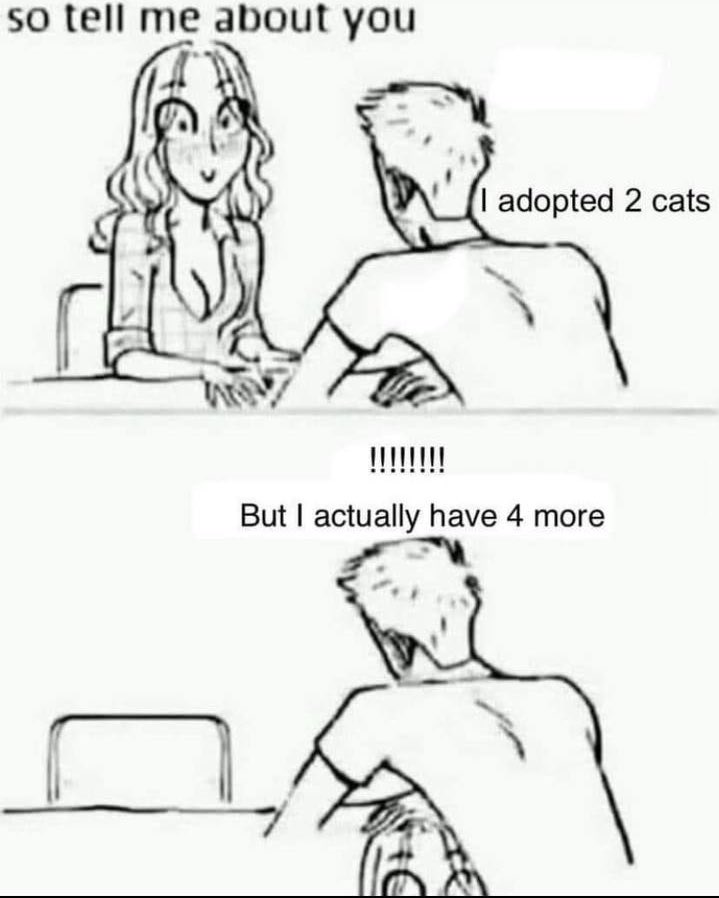 not cute & kinky memes tweet media