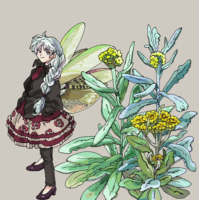 ハハコグサ七草の一種