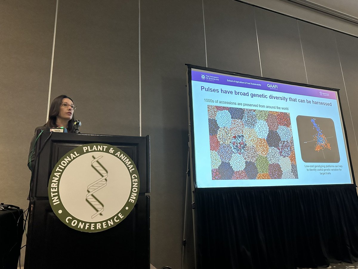 Millicent Smith from University of Queensland presents on Improving Pulse Crops for Sustainable Farming Systems. Approaches include ground-based and UAV-based phenotyping of biomass! #PAG31