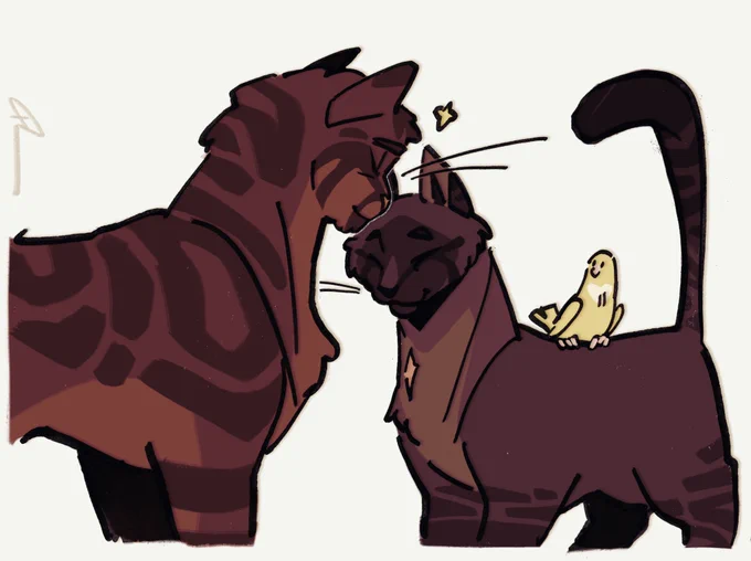 lost x # you will now be known as MOTHPAW