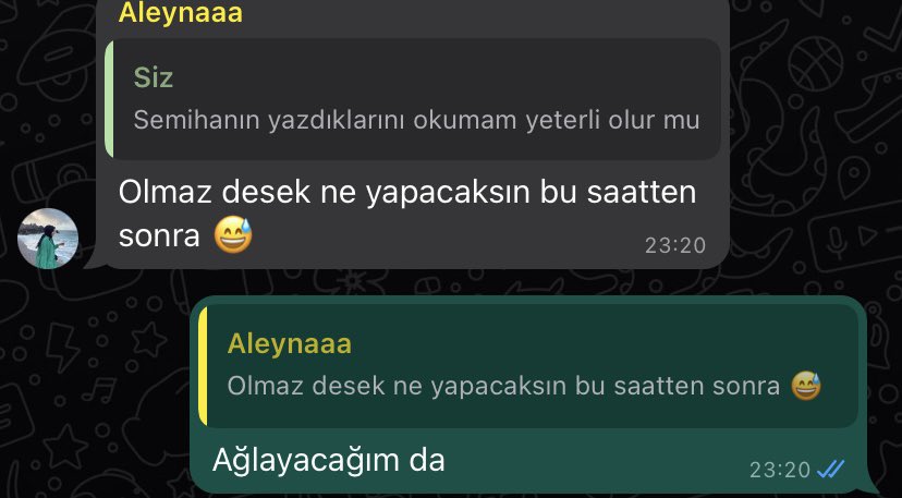 Benim akademik kariyer…