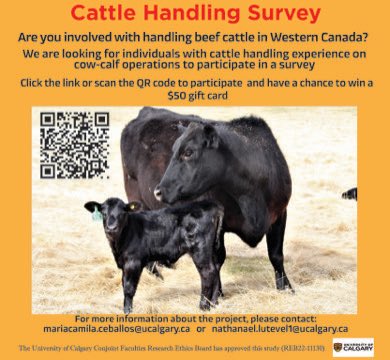 Cow-calf producers 🐂 in Western Canada 🇨🇦! We want to hear from you in our study about cattle handling! Fill in the survey and get a chance to win a 50 dollar gift card. Open the survey, get more info👇🏼 survey.ucalgary.ca/jfe/form/SV_6S… Please RT @ucalgaryvetmed @OrselKarin @UCVMBeef
