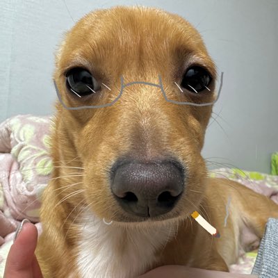 blinde2X5's tweet photo. #NewProfilePic #Goaded 🐐🤫🤫 https://t.co/ZctPEzFDNc