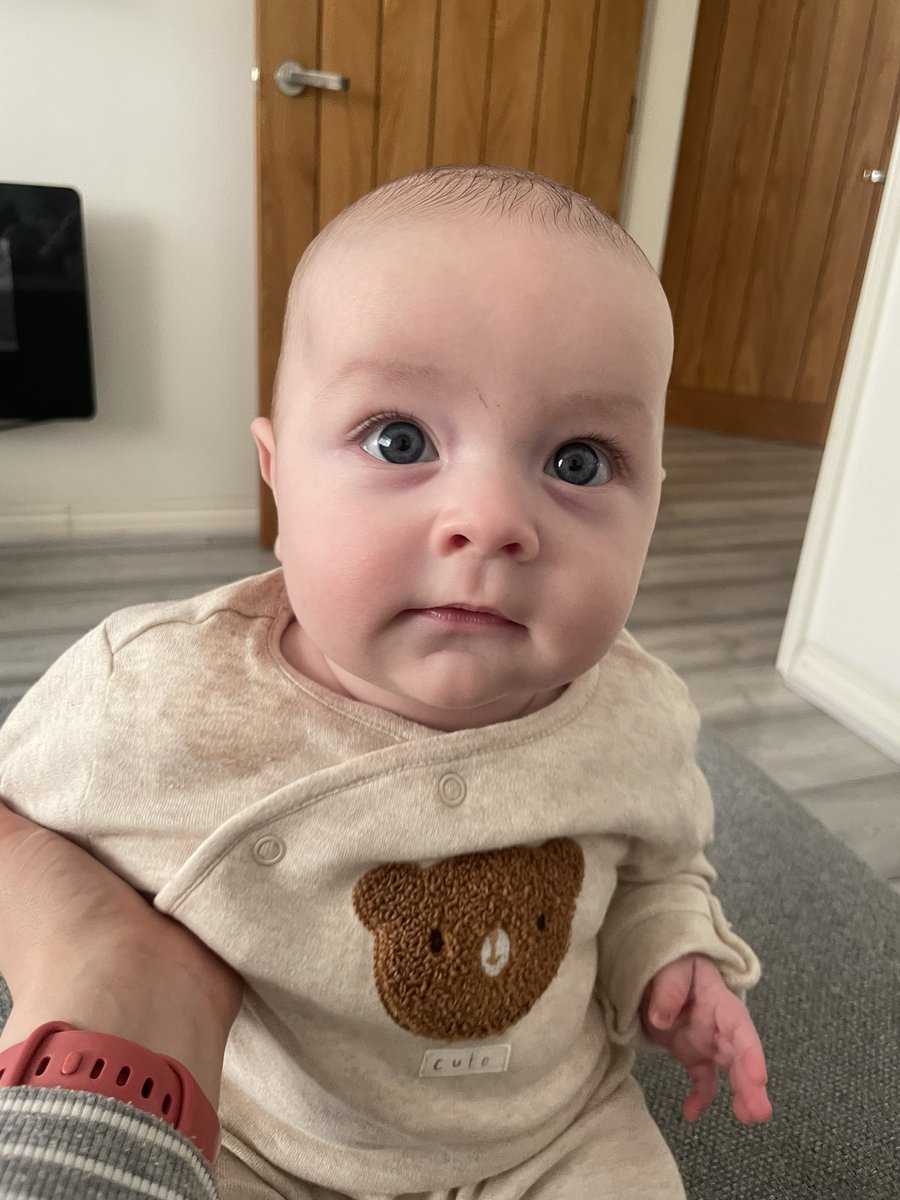 katyyheaton's tweet photo. The sweetest little boy 🤍 https://t.co/ysLvzuFpIp