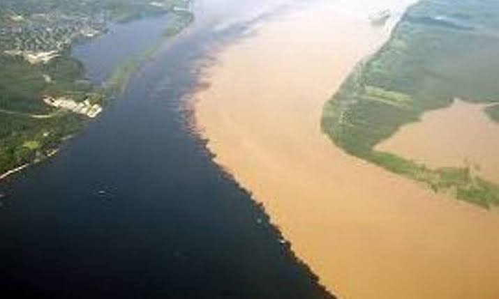 horaciohudson's tweet photo. O que fará a ministra Anielle Franco quando descobrir que rio Solimões não se mistura ao rio Negro? 
Isso é um grande racismo ambiental. https://t.co/DDkY0aSWyc