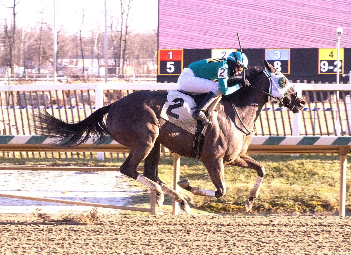 mdhorsemen's tweet photo. Third win in 5 starts since $30K claim for My Flicker, who rides rail to easy score in 6F N2X allowance @LaurelPark under Tais Lyapustina. 6YO @MarylandTB mare by Great Notion trained by @GaudetRacing (double) for Team Gaudet &amp; Lederie Racing. (Jim McCue 📷) https://t.co/4fuouCqMRZ