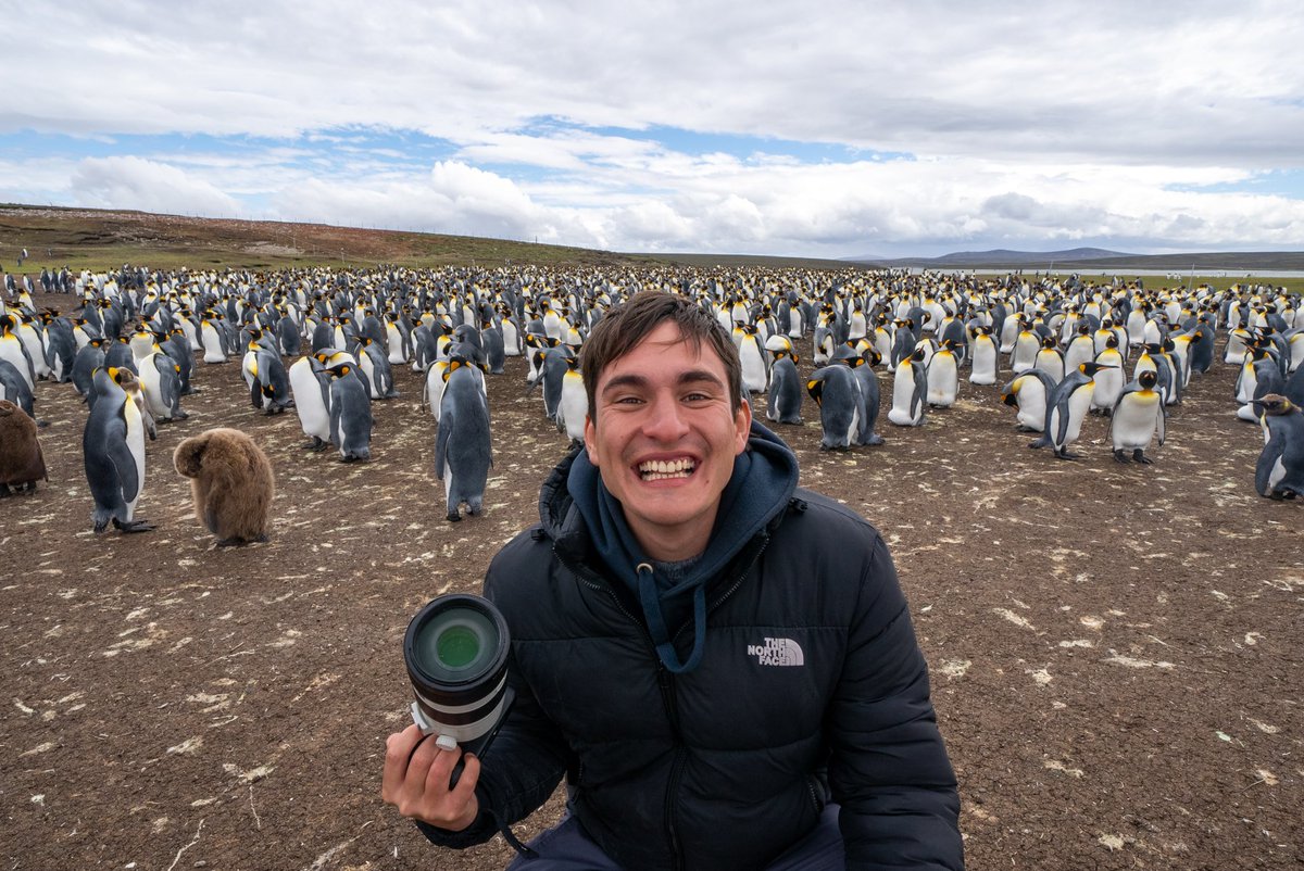 NicoMarinb's tweet photo. Ayer fue uno de los días más lindos de mi vida. Me toco documentar para el proyecto que estamos dando la vuelta al mundo, una colonia gigante de pingüinos rey. Estoy soñando despierto, que hermoso sentirse vivo ✨  Estas fotos saqué: https://t.co/rNNfGZMBvs