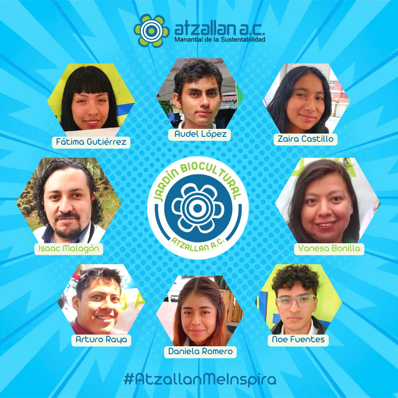 Atzallan's tweet photo. Conoce al #equipo del #Jardín #Biocultural #Atzallan que ha colaborado en diferentes proyectos inspirados en principios de #Permacultura desde septiembre 2023 a la fecha.
#JardinBiocultural #AtzallanMeInspira 🍃🌼💦🐸🌎🦋💚
🌐🍃 Más información en: https://t.co/jIzLhDW0Q8 https://t.co/Y0he4VQ4xY