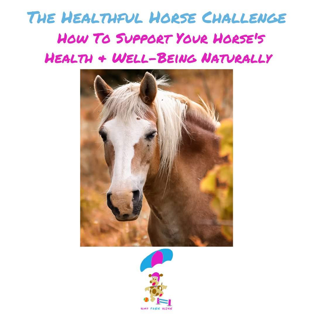 Flytiki's tweet photo. Where are my horse people at?  This FREE event starts in Feb https://t.co/nNTiBtCAe5.  Covering nutrition, mobility, nervousness, skin care, immune support &amp; more.
#horses #HorseLove #EquestrianLife #HorseRiding  #Eventing #HorseTraining  #HorseLifestyle #NaturalHorsemanship https://t.co/D38CztOs6B
