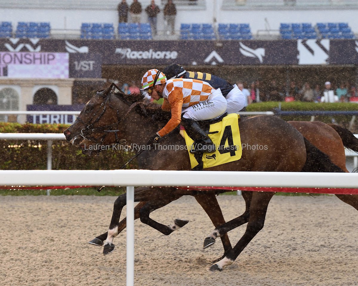 More at videohipi.co 
#FloridaBred Karaya defeats Epona's Hope to win race 7 under <a href="/iradortiz/">Iradortiz</a>, <a href="/markecasse/">Mark Casse</a> trains for M Racing Group. #GulfstreamPark #ChampionshipMeet 

Karaya derrota a Epona's Hope para ganar la 7.ª carrera bajo las órdenes de Irad Ortiz Jr, entrena