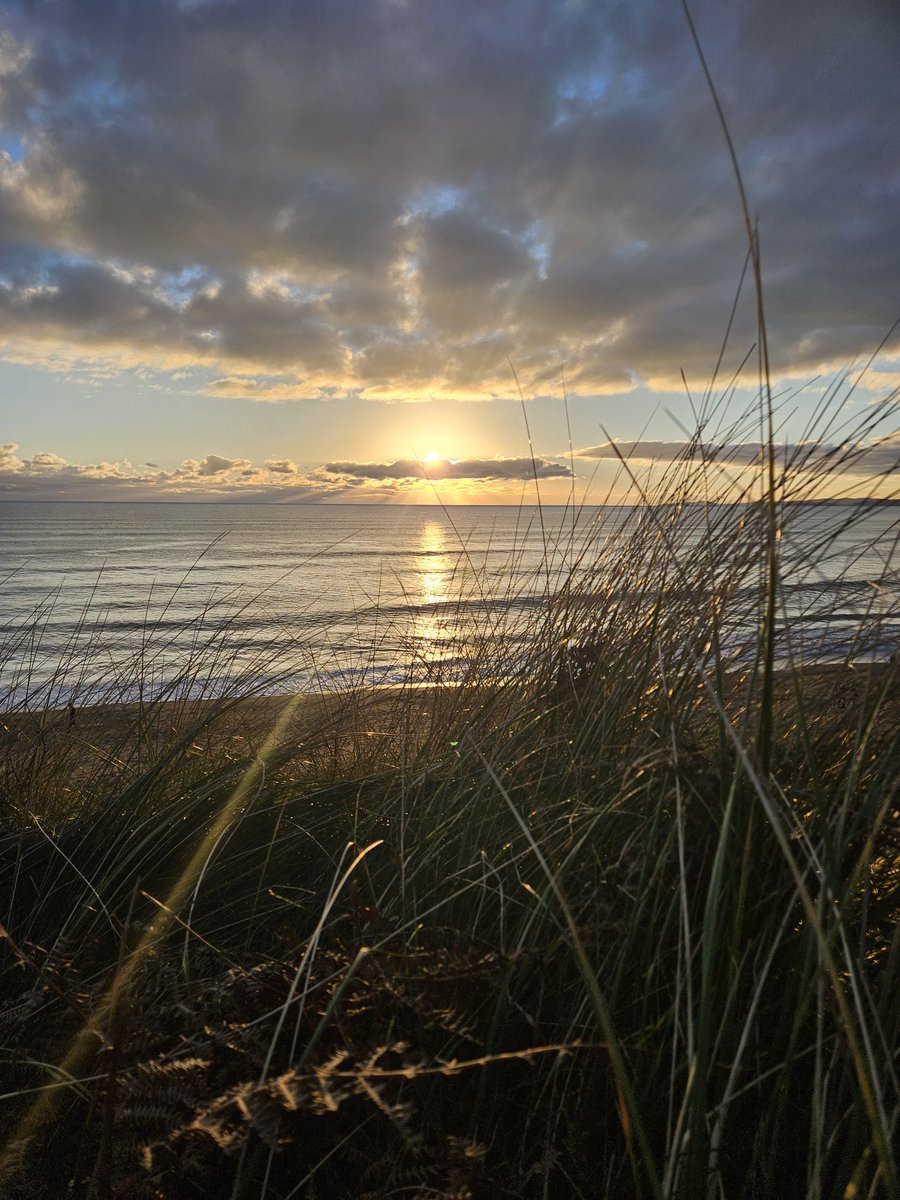 SylviaOG23's tweet photo. What a beautiful evening on Long Strand, West Cork. 

#WestCork #WildAtlanticWay #LongStrand #Sunset #Scenic https://t.co/lFkb3zeO4j