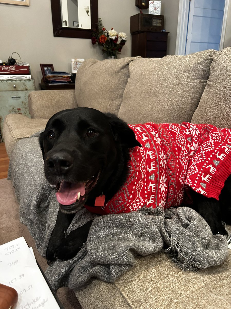 mcgee_nbct's tweet photo. Ollie and I are hanging out inside while Kenton and Scout are outside. We’re working on laundry. They’re bringing in wood. Stay warm, everyone! https://t.co/21b1wu6Jez