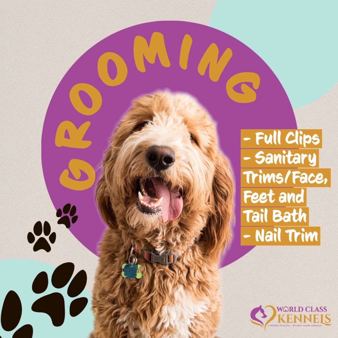 WCK35078's tweet photo. Let's get your furry friend looking their best this Fall! Book their appointment through our FREE app today!

#chelseaal #Alabama #invernessal #mountainbrookal #hooveral #DogBoarding #DogGrooming #OdenvilleAL #HarpersvilleAL #KittyKennels #PetTaxi #VincentAL https://t.co/OyJvyJuvmS