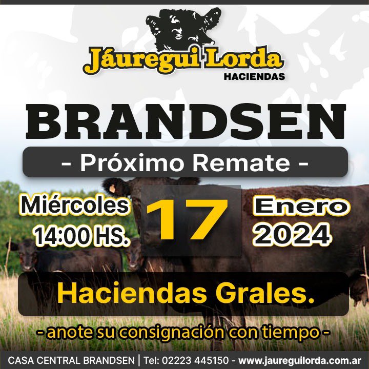 Jáuregui Lorda tweet media