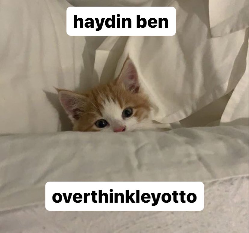 elís 𓆩🤍𓆪 (@zodiacsgirls) on Twitter photo 