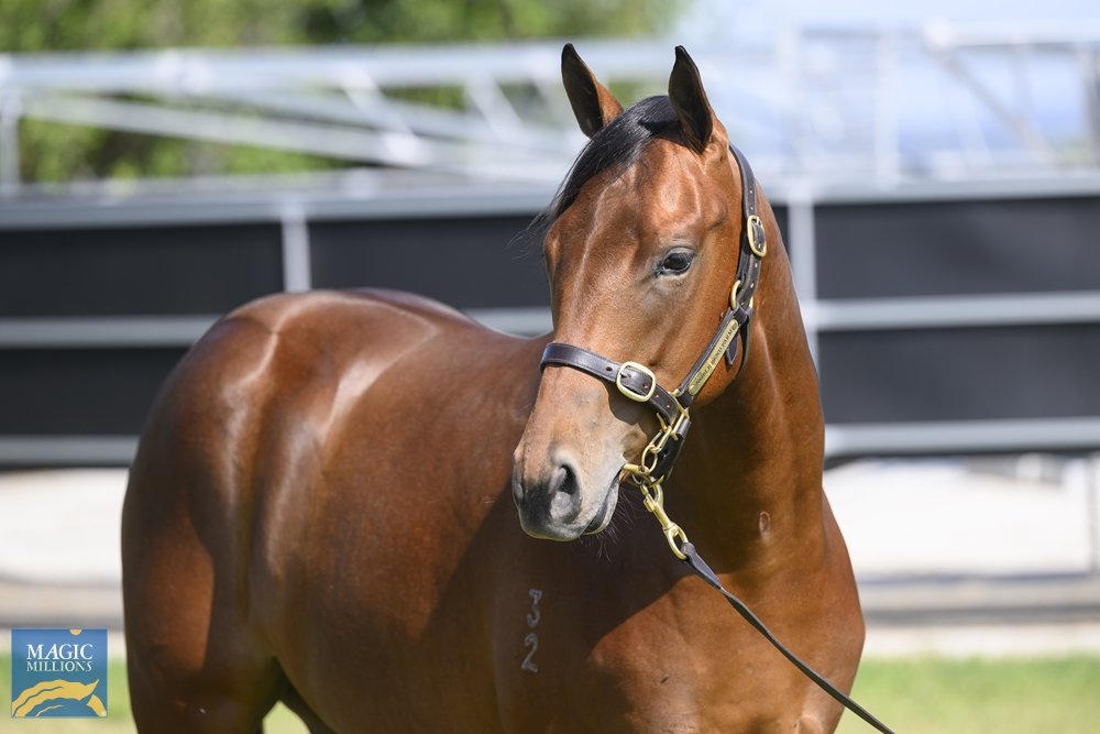 VThoroughbreds's tweet photo. Book 2 @mmsnippets gets under way today. Inspections have been good. Come down to @noblebend draft in B C Barn &amp; check out a fabulous overall draft but Lot 1184 &amp; 1444 are well worth a look, both closely related to 3yr old Guineas winner #Abounding https://t.co/GCVn1WWUai