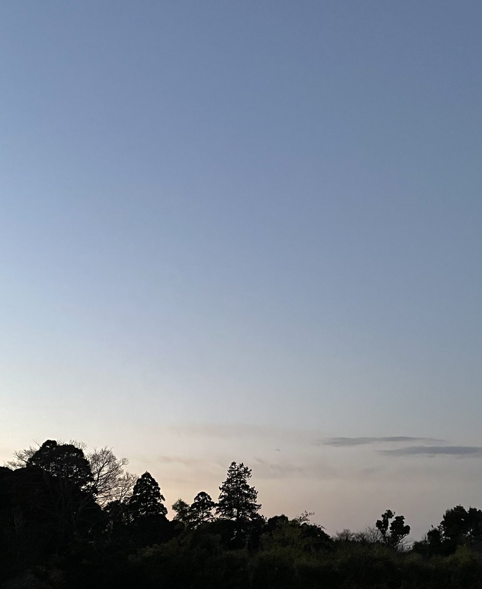 kotemama324's tweet photo. 1月15日(月)

晴れてきそうな空です

おはようございます✨

昨夜は一晩中
　強い南風が吹いていました💨

そのせいか
　少し暖かい朝です

お散歩🐕で
　白梅さんが咲いていました
(  ˶ˊᵕˋ)

月曜日ゆっくりスタートで
　いきましょう🌸

#イマソラ　#白梅 https://t.co/mh16zJyk3t