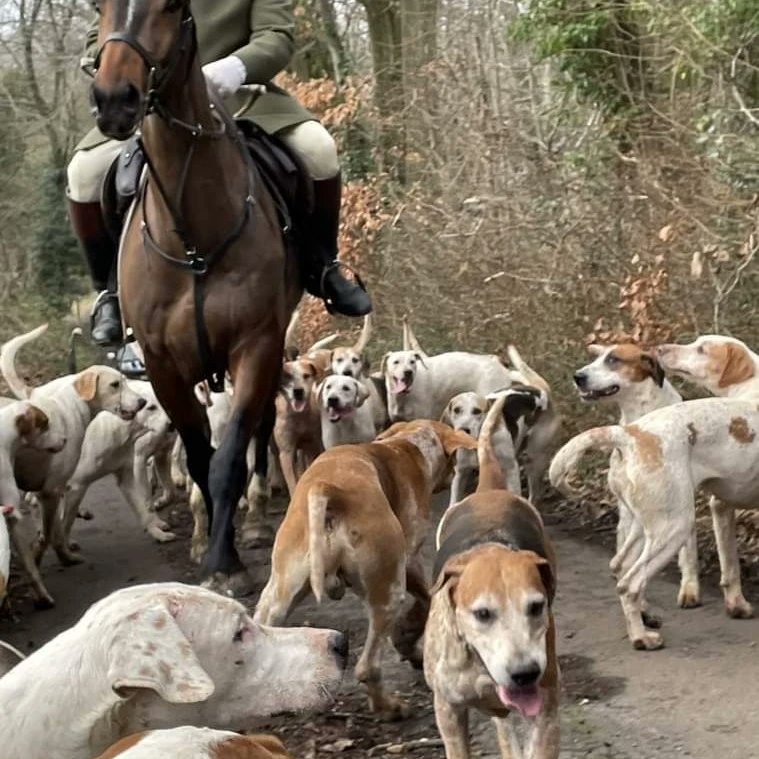 East & West Kent Hunt Sabs tweet media