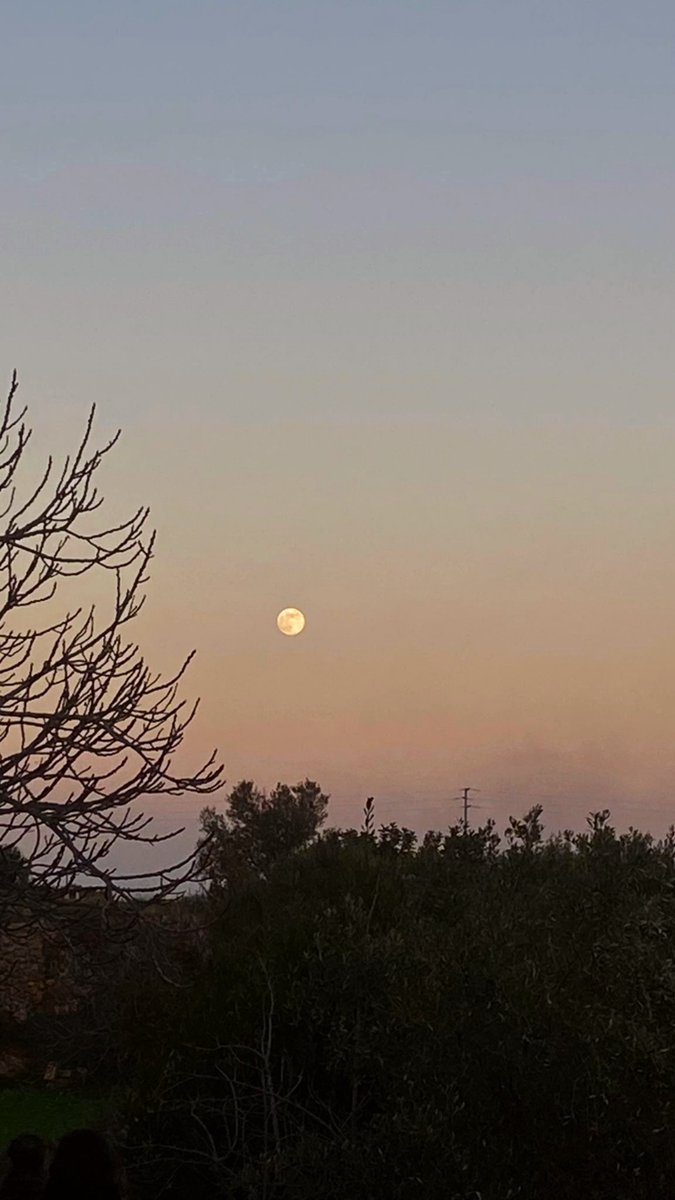 _ciaa___'s tweet photo. Il mio Roman Empire è fermarmi a fare foto alla luna ogni volta che la vedo https://t.co/WMMYAiFK0M