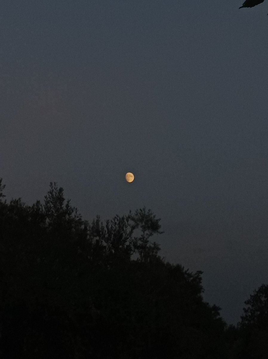 _ciaa___'s tweet photo. Il mio Roman Empire è fermarmi a fare foto alla luna ogni volta che la vedo https://t.co/WMMYAiFK0M
