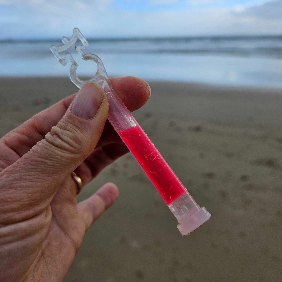 #Chemicallightsticks are used for a variety of purposes, including in the commercial fishing industry to attract target fish. Volunteers from Coolum & North Shore Coast Care have picked up hundreds of these while monitoring turtle nesting beaches on the Sunshine Coast.