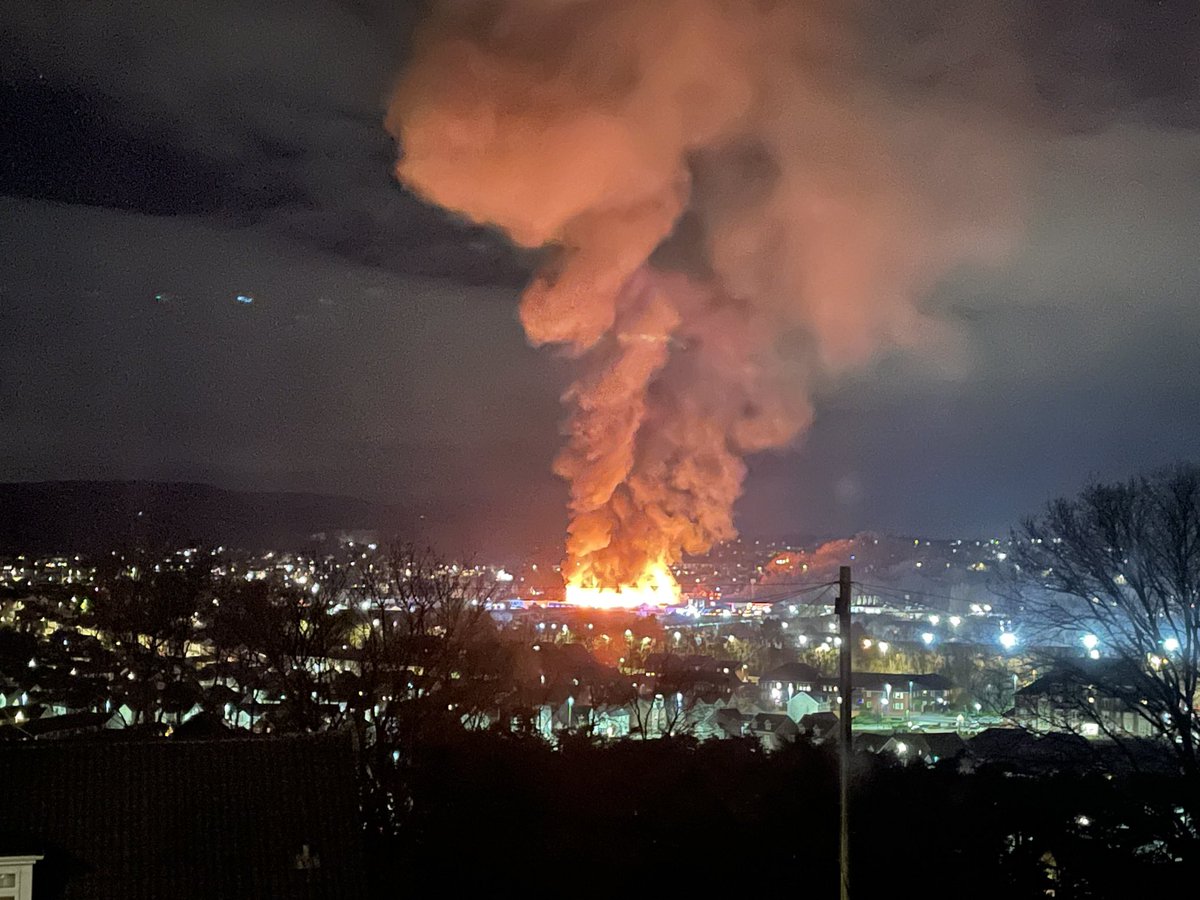 Luisa A. Jones tweet media