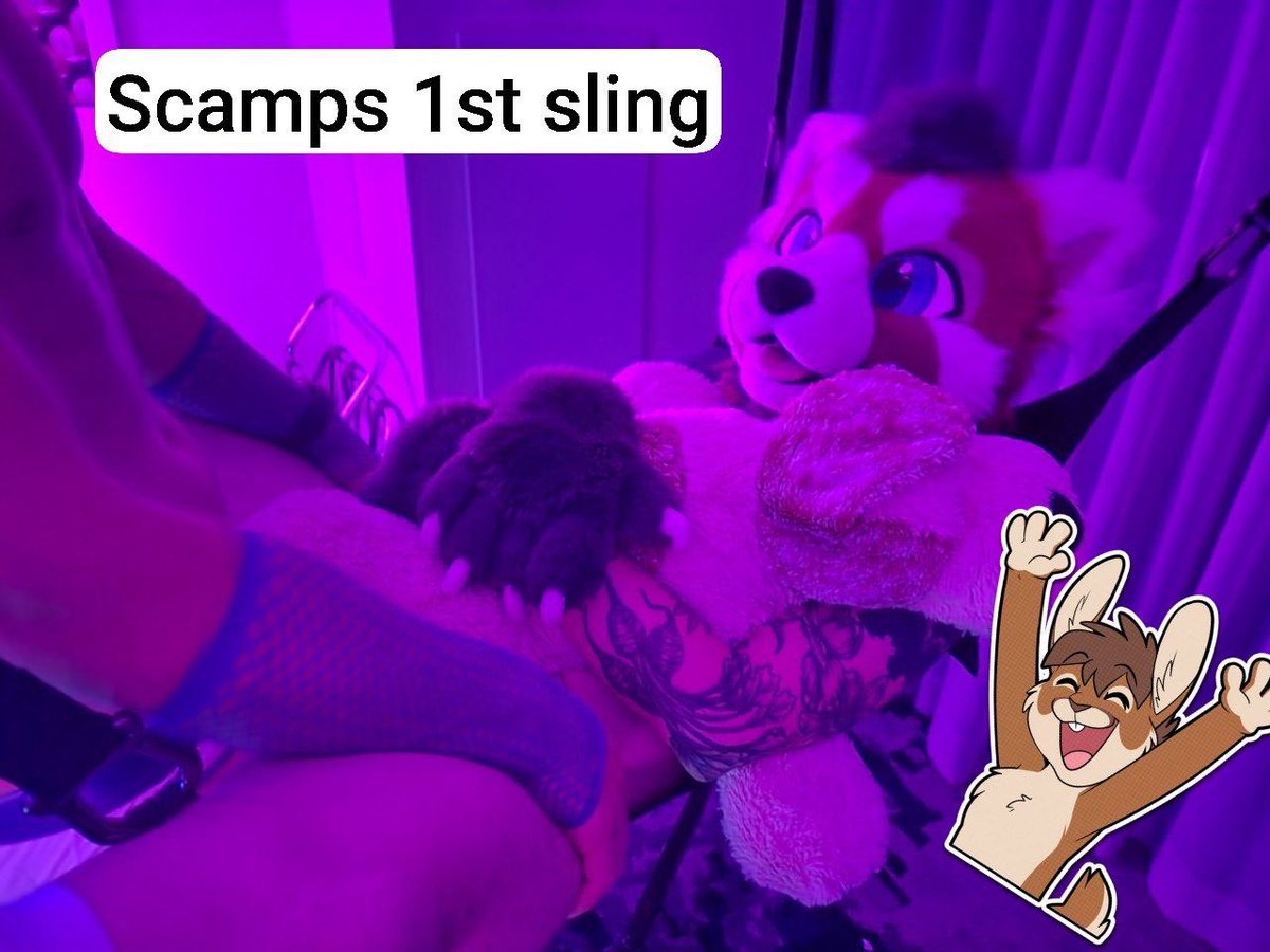 Flip Bunny 🔜 FWA tweet media