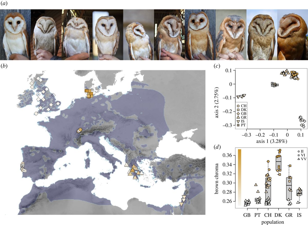 Royal Society Publishing tweet media