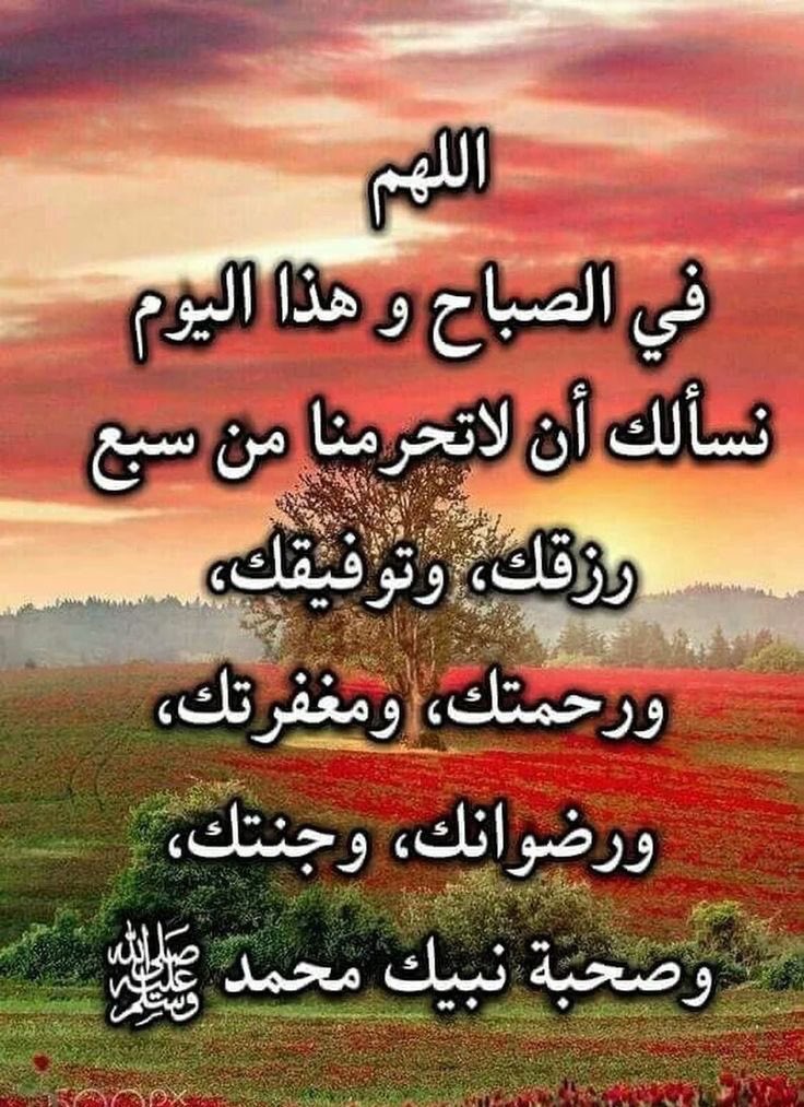 merah (@merah75653032) on Twitter photo 