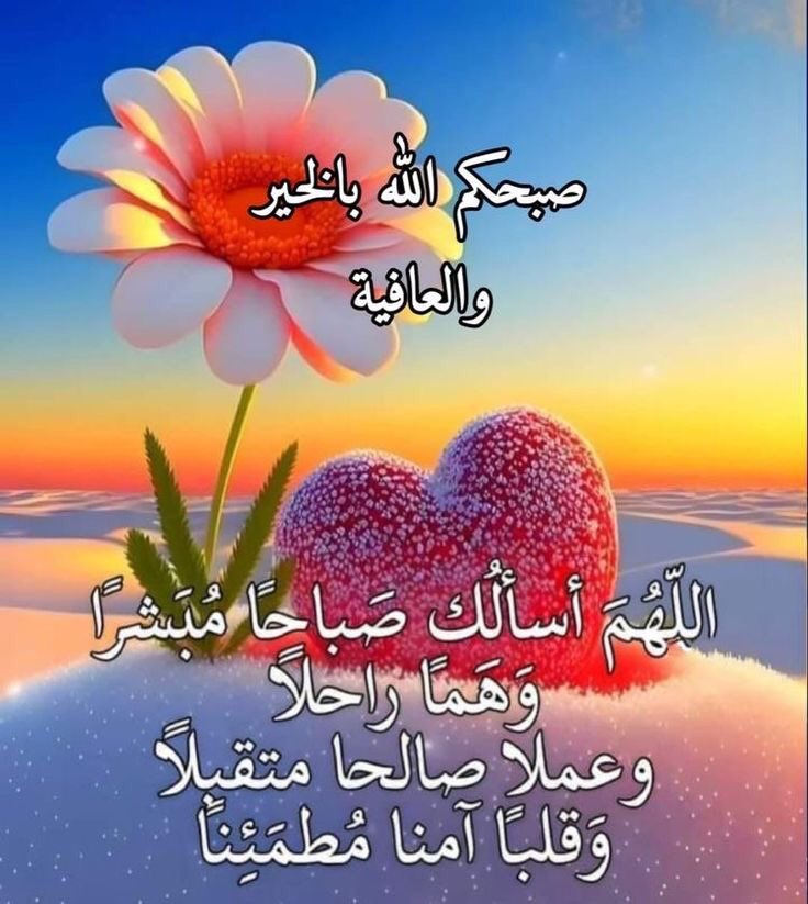 merah (@merah75653032) on Twitter photo 