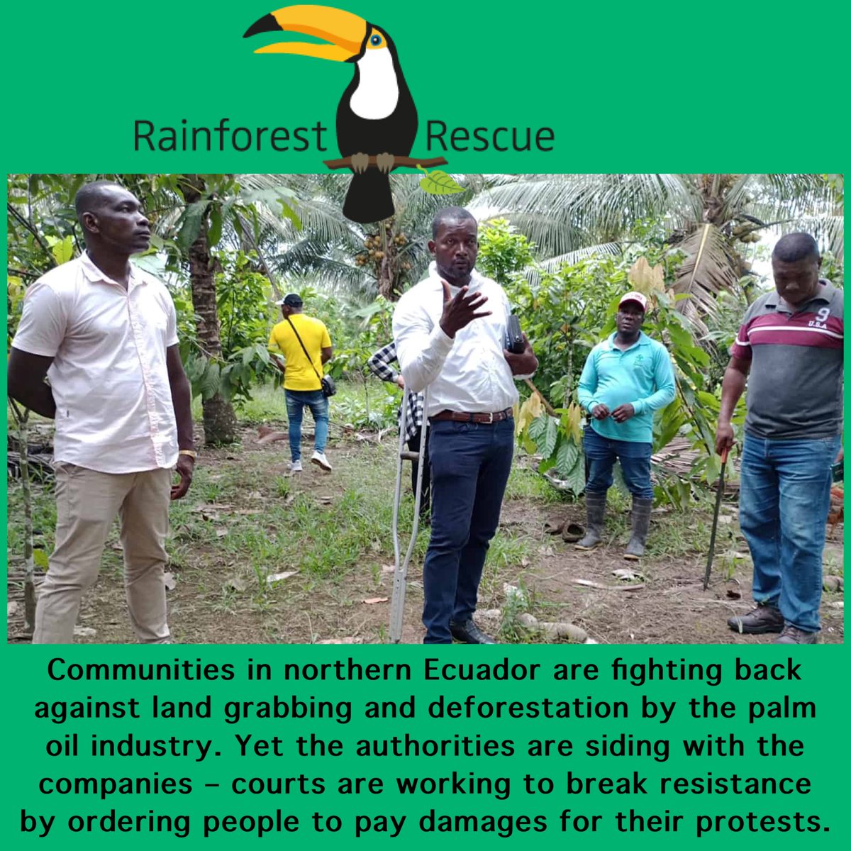 mikecoulson48's tweet photo. Ecuador: Stop land grabbing and racial discrimination for palm oil! https://t.co/PlTZRbQkpu
Join the Call: Human Rights Over Corporate Profits in Ecuador! https://t.co/7s1SZkwb8G https://t.co/akqdjukT0o