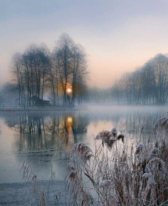 Natural beauty. Winter Landscape.