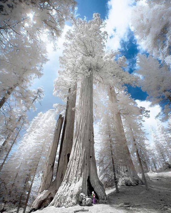 Beautiful scenery.