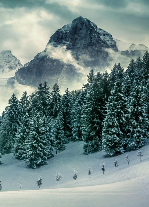 Natural beauty. Winter Landscape.