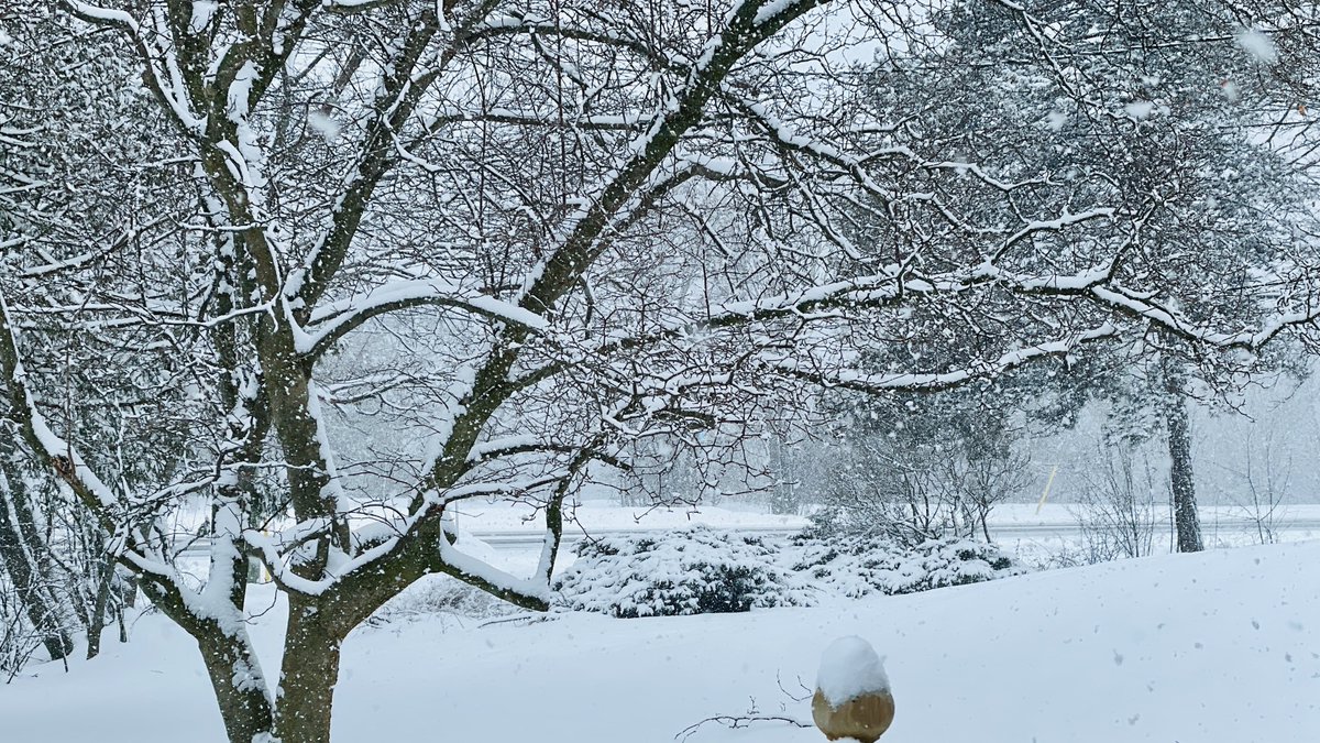 mindsetter tweet media